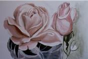 Rosa Rosen