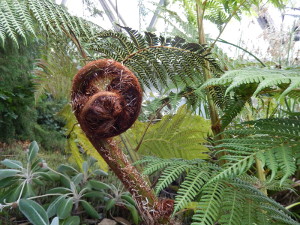 Botanischer Garten D&uuml;sseldorf 2