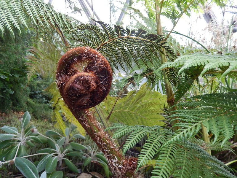 Botanischer Garten D&uuml;sseldorf 2